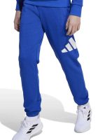 fixedratio_20250912200724_a328b9cf.jpeg 16161