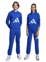 fixedratio_20250916153735_8957fda0.jpeg 16157