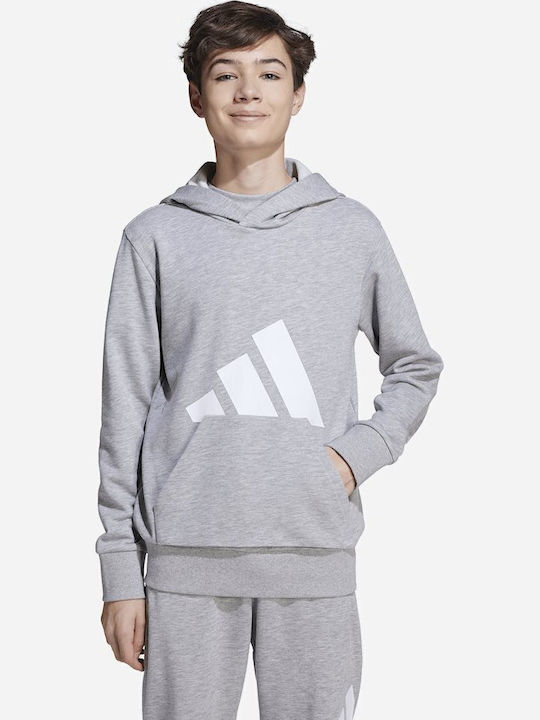 fixedratio_20250917204912_adidas_paidiko_fouter_me_koukoula_gri_essentials_jv9900.jpeg 33129